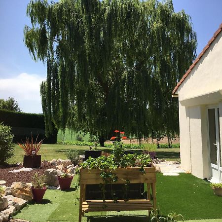 Domaine De La Vigne Cadalen Exterior foto