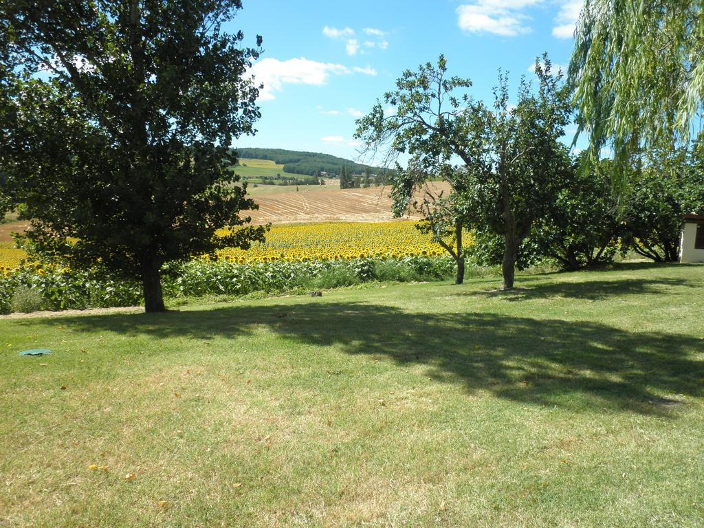 Domaine De La Vigne Cadalen Exterior foto