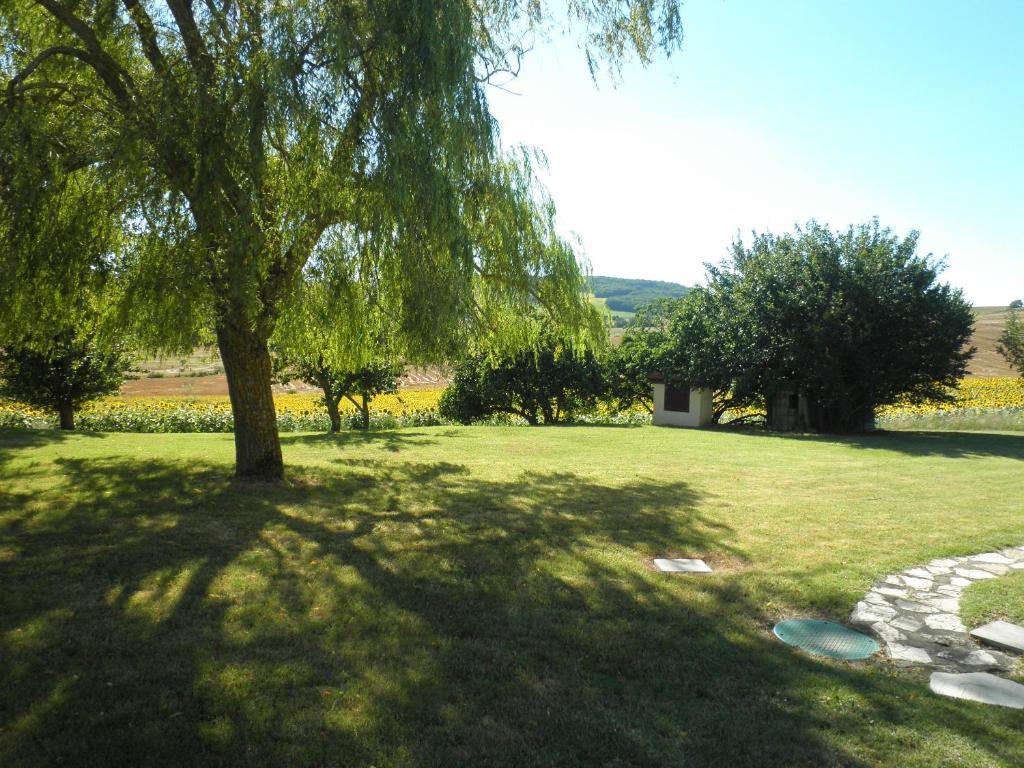 Domaine De La Vigne Cadalen Exterior foto